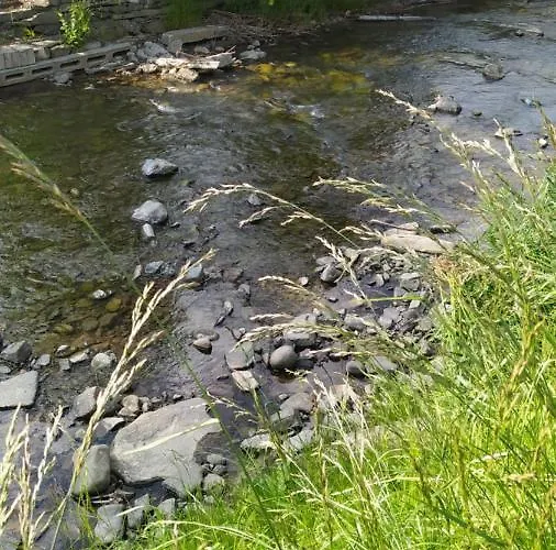 Czeslawka Alloggio in famiglia